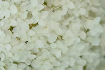 Pathfinding Visualizer